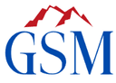 GSM Technology Services